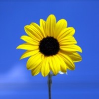 a0940_000037