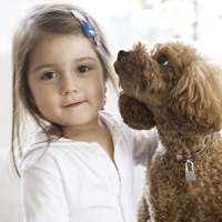 子供と犬1